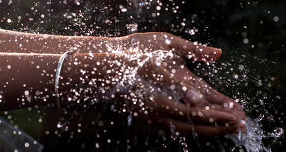 Hands catching splashing fresh water in warm sunlight
