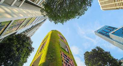Sustainable development